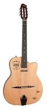 Godin Multiac Gypsy Jazz 10 Avec Housse