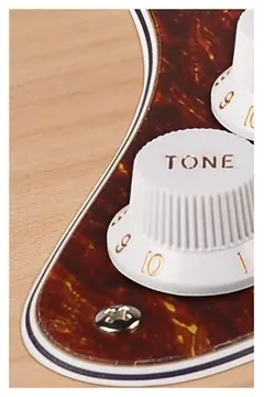 Boston ST-444-T pickguard