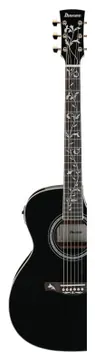 Ibanez AC391RCE-BKH