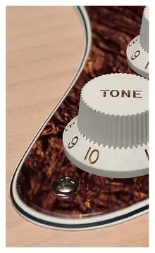 Boston ST-431-TBP pickguard