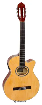 Giannini Performance GNF-1D Eletroacústico Cordas Nylon Cor Natural Glossy (NG)