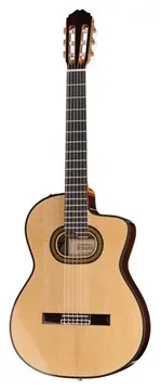 Takamine DH90 w/Softcase