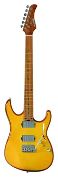 Strinberg Super Strato Ergus Wk