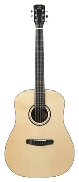 Dowina Infinity D DS Bois de Rose Dreadnought Limited 2023
