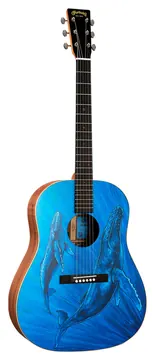 Martin DSS Biosphere II