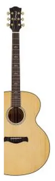 Richwood Jumbo Guitar with Solid Spruce top - Natural Gloss, RJ-27