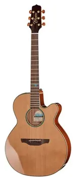 Takamine FSF40C
