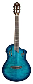 Ortega RTPDLX-FMA