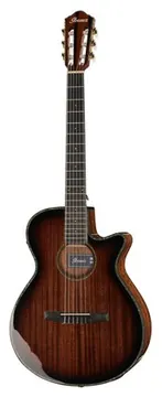 Ibanez AEG74N-MHS