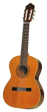 Esteve 3Z GUITARE CLASSIQUE - Fond & éclisses Ziricote / Table cèdre
