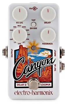 Electro-Harmonix Canyon Delay & Looper