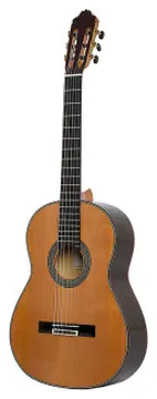 Esteve 65ANOS guitare esteve 65 anos