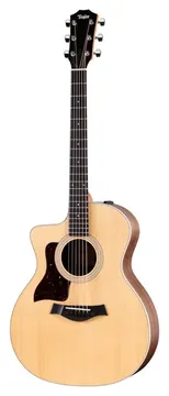 Taylor 214ce - Linkshandig