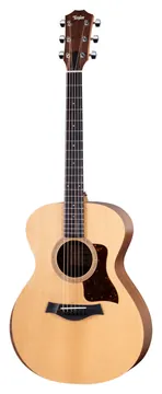 Taylor Academy 12e