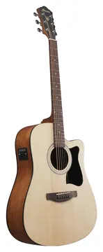 Ibanez V40CE-OPN