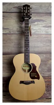 Richwood A20 Master Series auditorium OOO gitaar