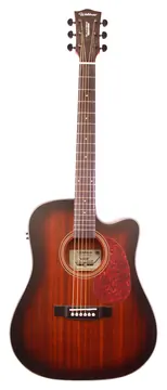 Waldman DCEX441 Dreadnought Eletroacústico Aço DNB