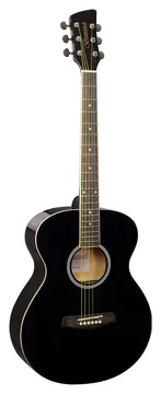 Brunswick Grand Auditorium BF100BK