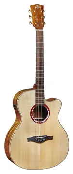 EKO ALPS J450ce