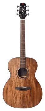 Seizi Supreme Fuji Mirai Koa