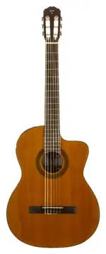 Takamine GSC1CE-NG