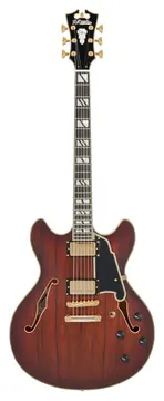 D'Angelico Deluxe DC Satinato Marrone Burst