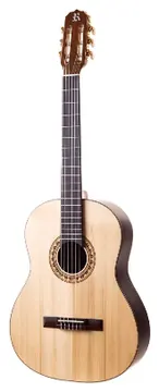 Rozini Eletroacústico RX210ATF.LP