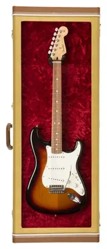 Guitar Display Case Twd