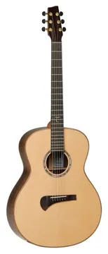 Tanglewood TSR 1