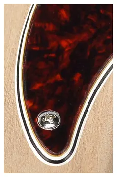 Boston PB-415-TI pickguard