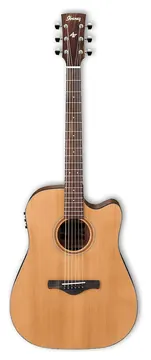 Ibanez AW65ECE LG