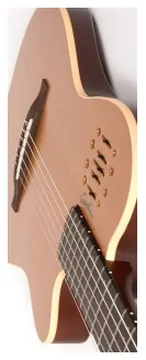 Godin Multiac Nylon Encore natural SG