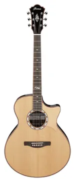 Ibanez Marcin Signature MRC10 AE w/Fishman Rare Earth - Natural High Gloss