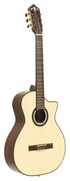 Crafter SNT 20ce Pro
