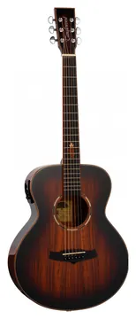 Tanglewood TWX1EK Electro Acoustic Guitar