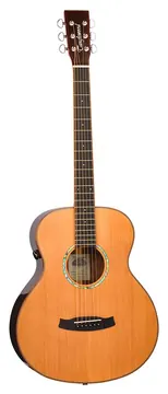Tanglewood Rosewood Smart Mini - TRS1E