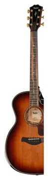 Taylor Builder’s Ed. 814ce Sinker