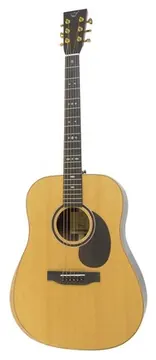 Journey Instruments Comfort Dreadnought JCD422