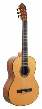 Valencia VC564CE Natural Antique