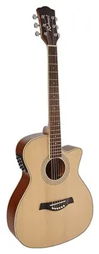 Richwood Artist Series acoustic guitar RG-16-CE