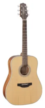 Takamine GD20NS