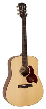 Richwood All Solid Master Series D-220 custom shop dreadnought