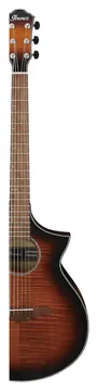 Ibanez AEWC400-AMS
