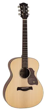 Richwood All Solid Master Series A-220 custom shop auditorium OOO