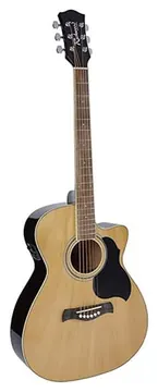 Richwood Artist Series Auditorium electro-acoustic guitar
