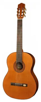 Salvador Cortez Chitarre Classiche Salvador Cortez Cc22E Chitarra Classica Elettrificata