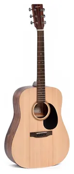 Ditson D-10 Dreadnought Acoustic