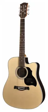 Richwood Master Series D-60-CE handmade dreadnought guitar