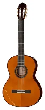 Amalio Burguet Fnegra DV Spruce Flamenco w/Ca