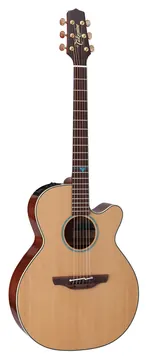 Takamine FSF40C Nex Santa Fe CW Natural Gloss